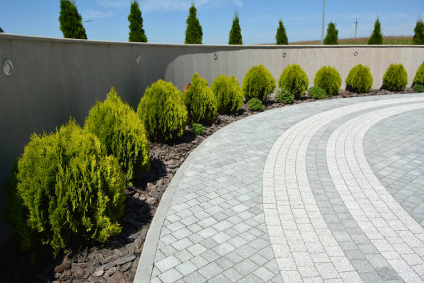 Best Custom Driveway Pavers  in Albany, IN
